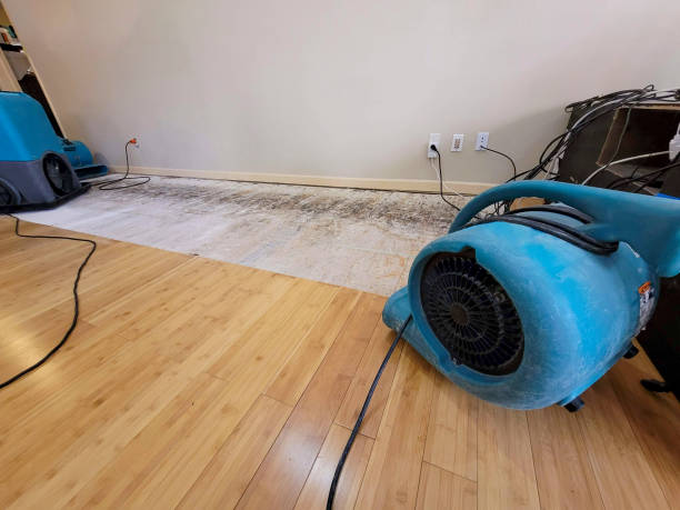Professional Water Damage Repair technician working in Salem, NC